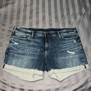 Silver Jeans Suki Shorts